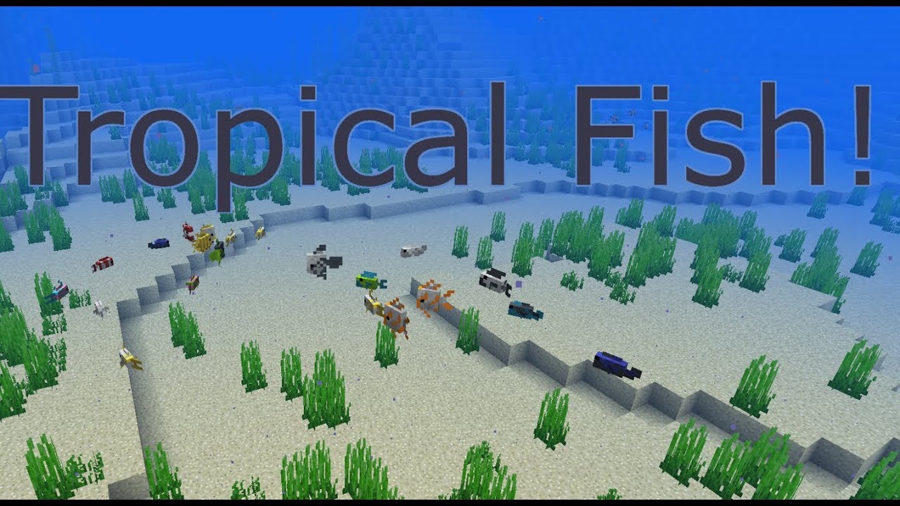 18w10b â Tropical Fish
