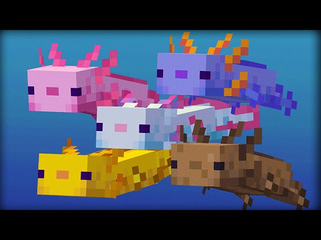 3 things that make Axolotls so rare in Minecraft