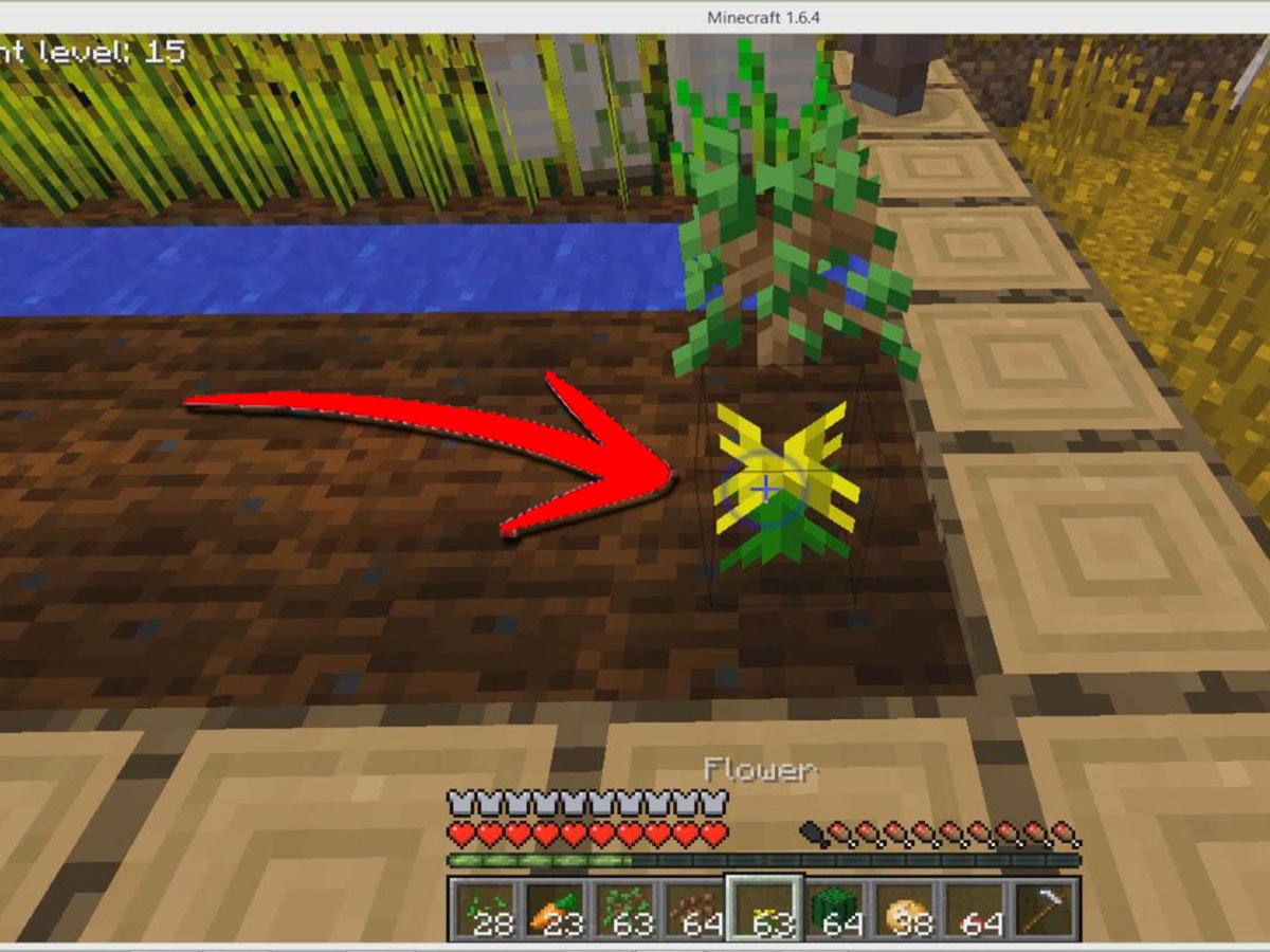 4 Ways to Plant Seeds in Minecraft