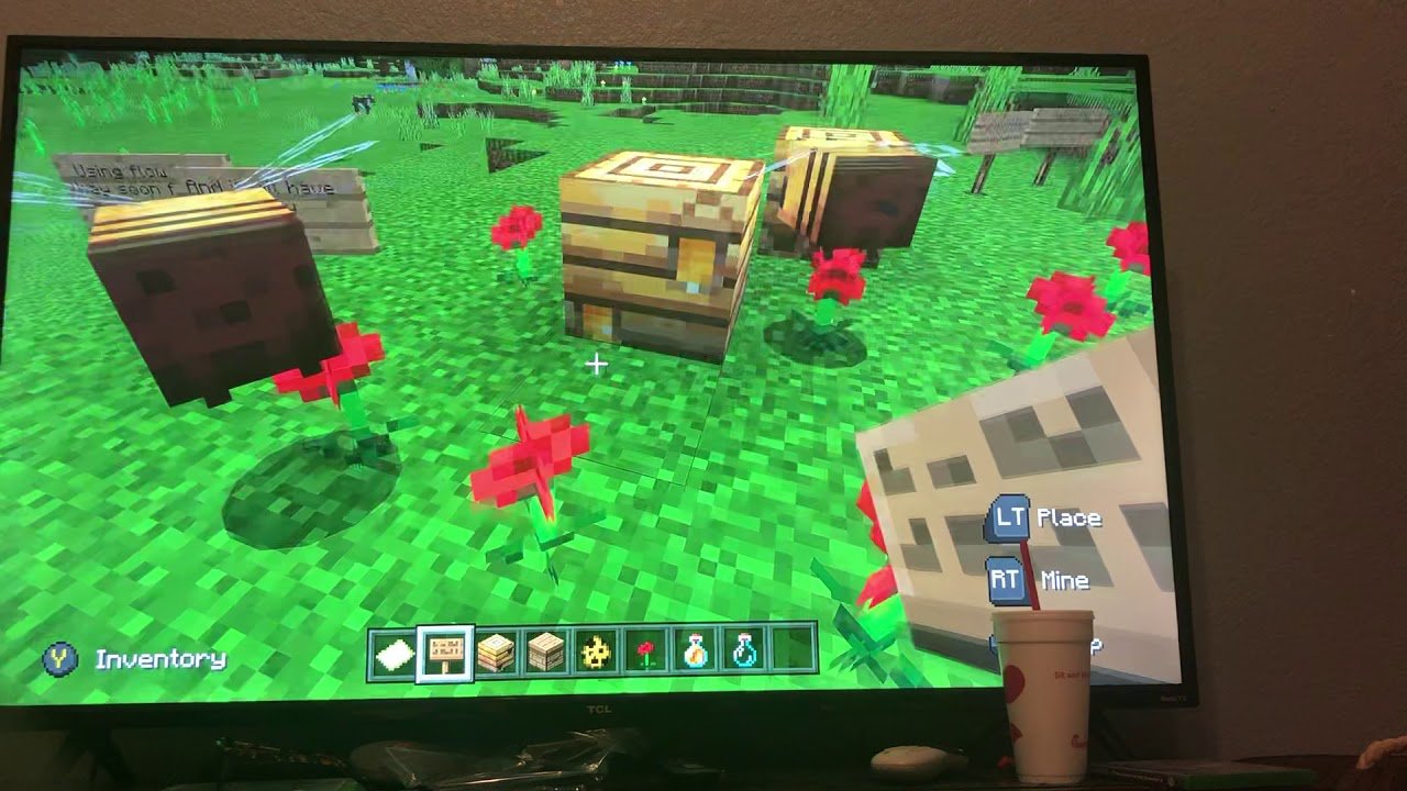 A little review in the Minecraft bee ð?? update.