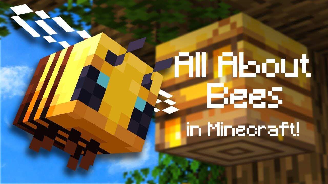 All About: Bees!