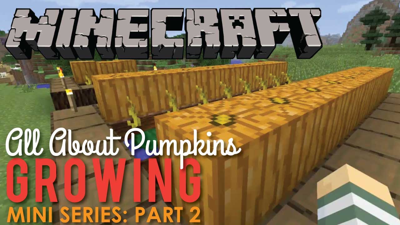 All About Growing Pumpkins in Minecraft, Part 2
