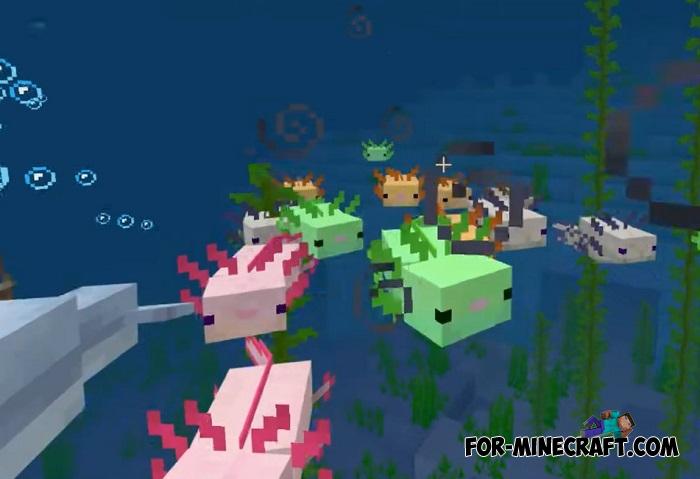 Axolotl Addon v1.2 for Minecraft PE 1.16