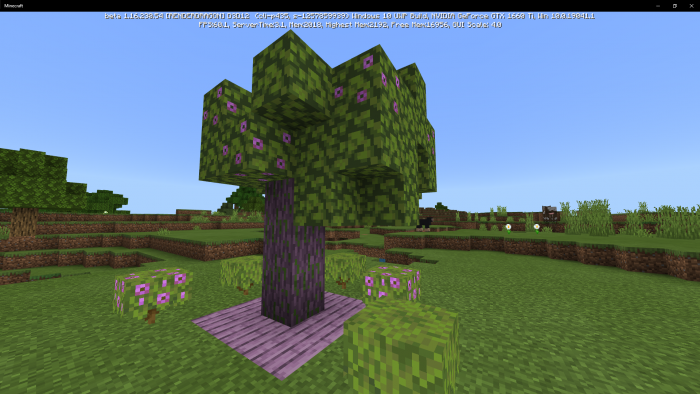 Azalea Tree Wood Concept