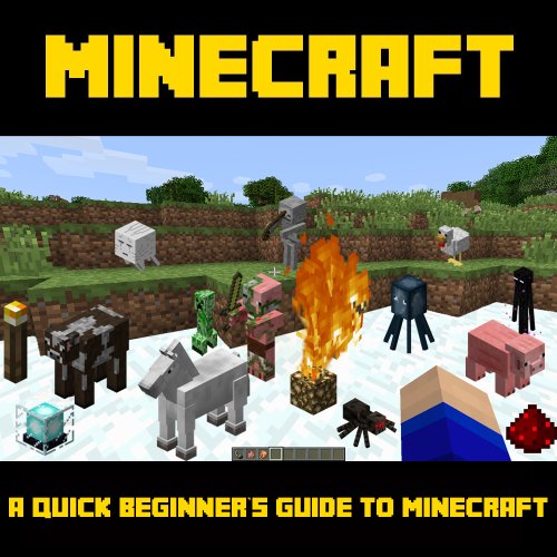 Borrow Minecraft: A Quick Beginner