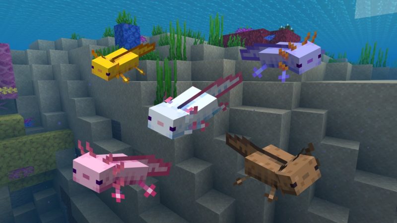 Can Axolotls go on land in Minecraft?