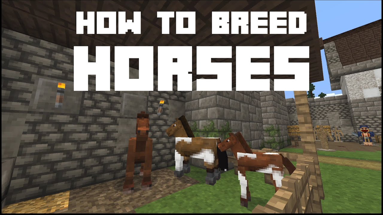 Can You Breed Horses In Minecraft
