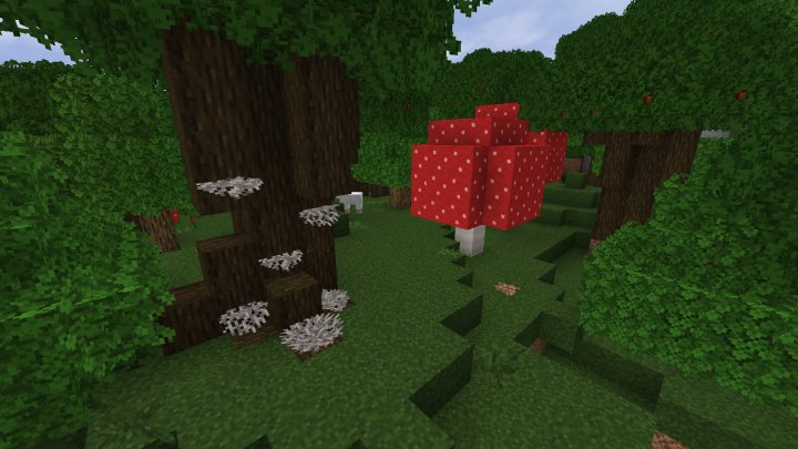 Coral Collection Minecraft Texture Pack
