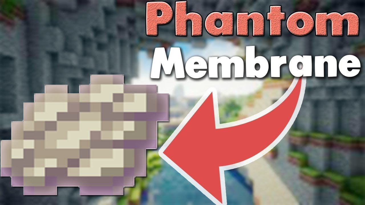 Everything You Need To Know About Phantom membrane ...