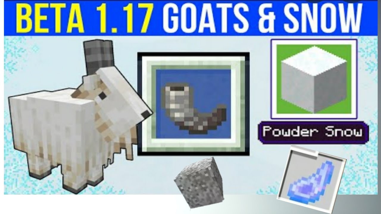Goats , Powered Snow, And Mysterious Goat Horn