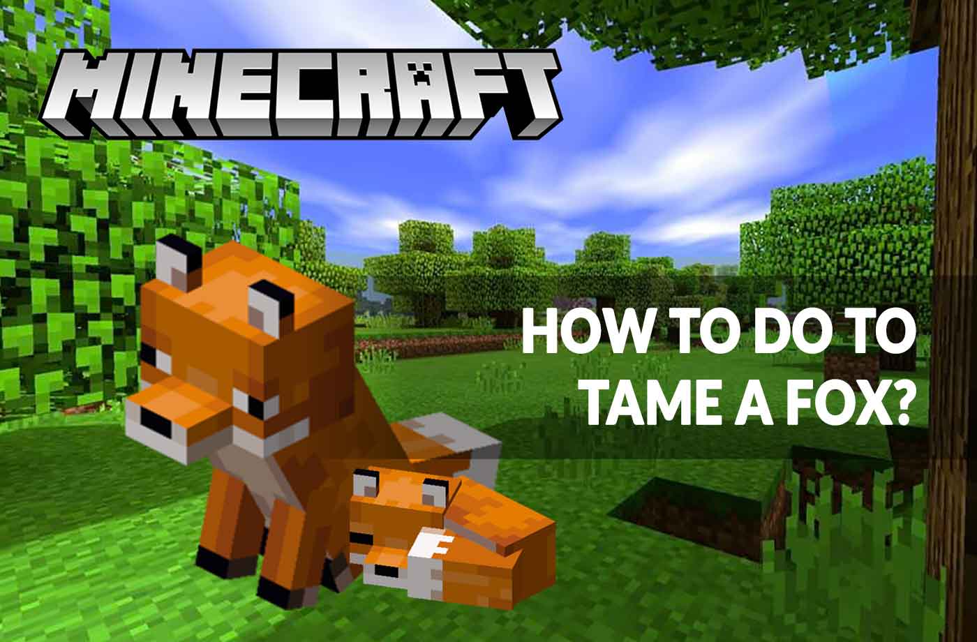 Guide Minecraft 1.14 how to tame a fox