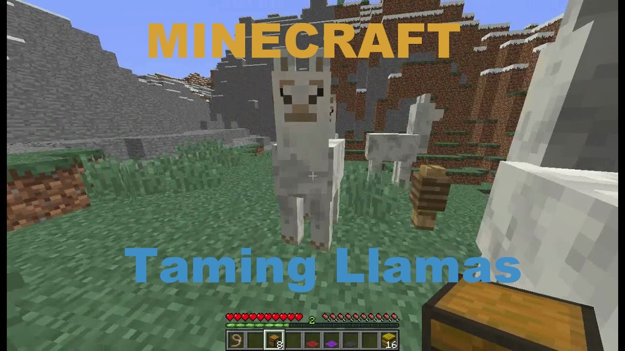 how do you control a llama in minecraft alqurumresort com