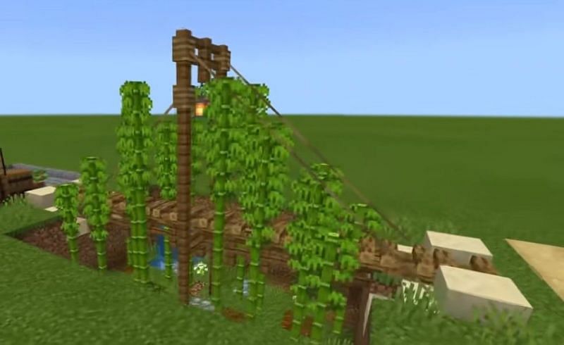 How Do You Grow Bamboo In Minecraft