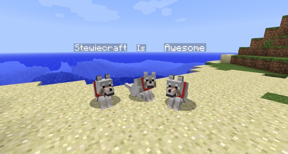 How do you name a dog in minecraft, MISHKANET.COM