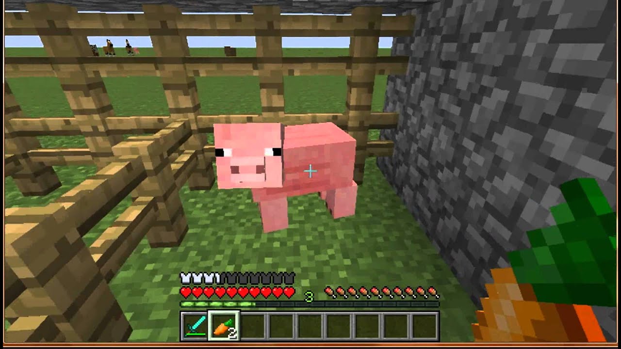 How to attract pigs in minecraft