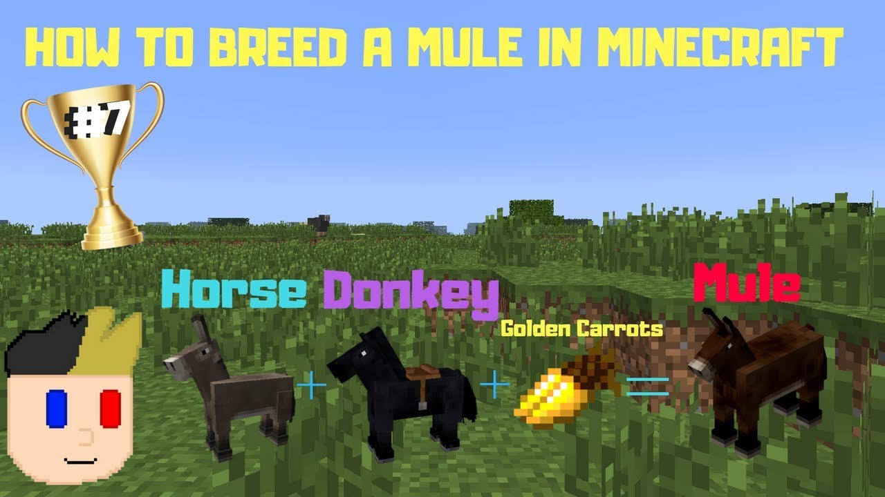 HOW TO BREED A DONKEY AND A HORSE IN MINECRAFT