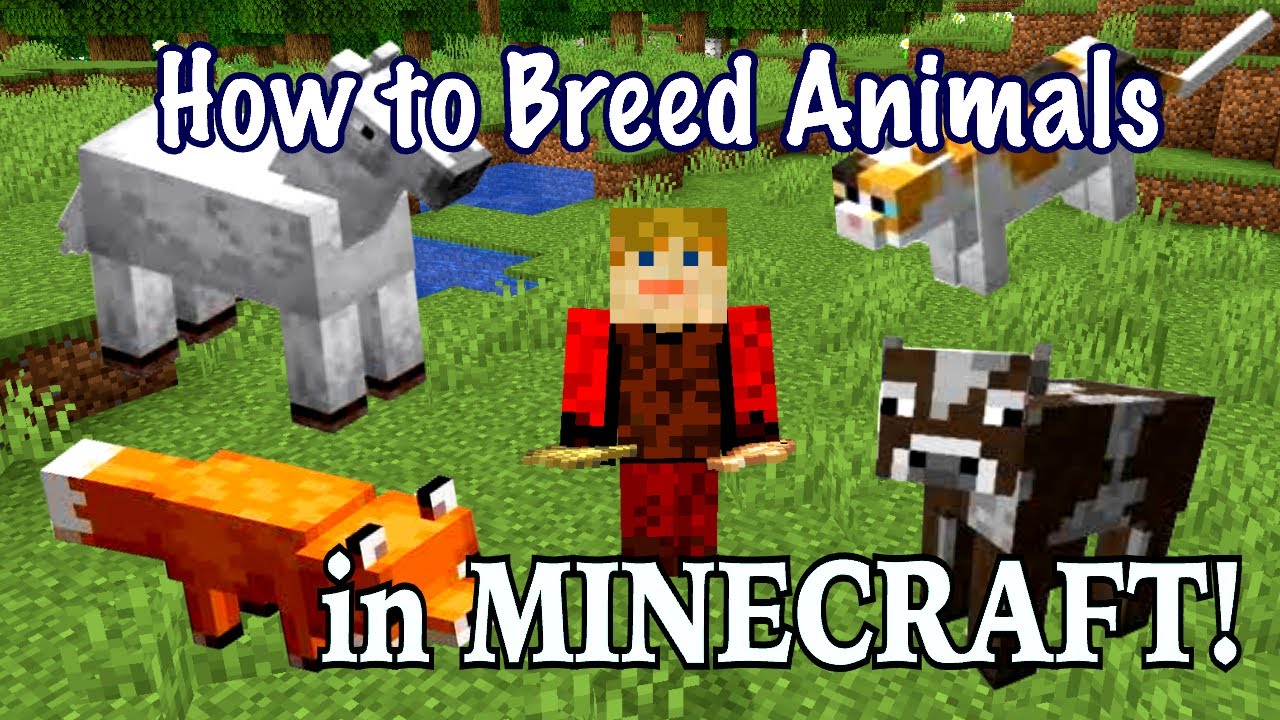 How to Breed Animals in Minecraft