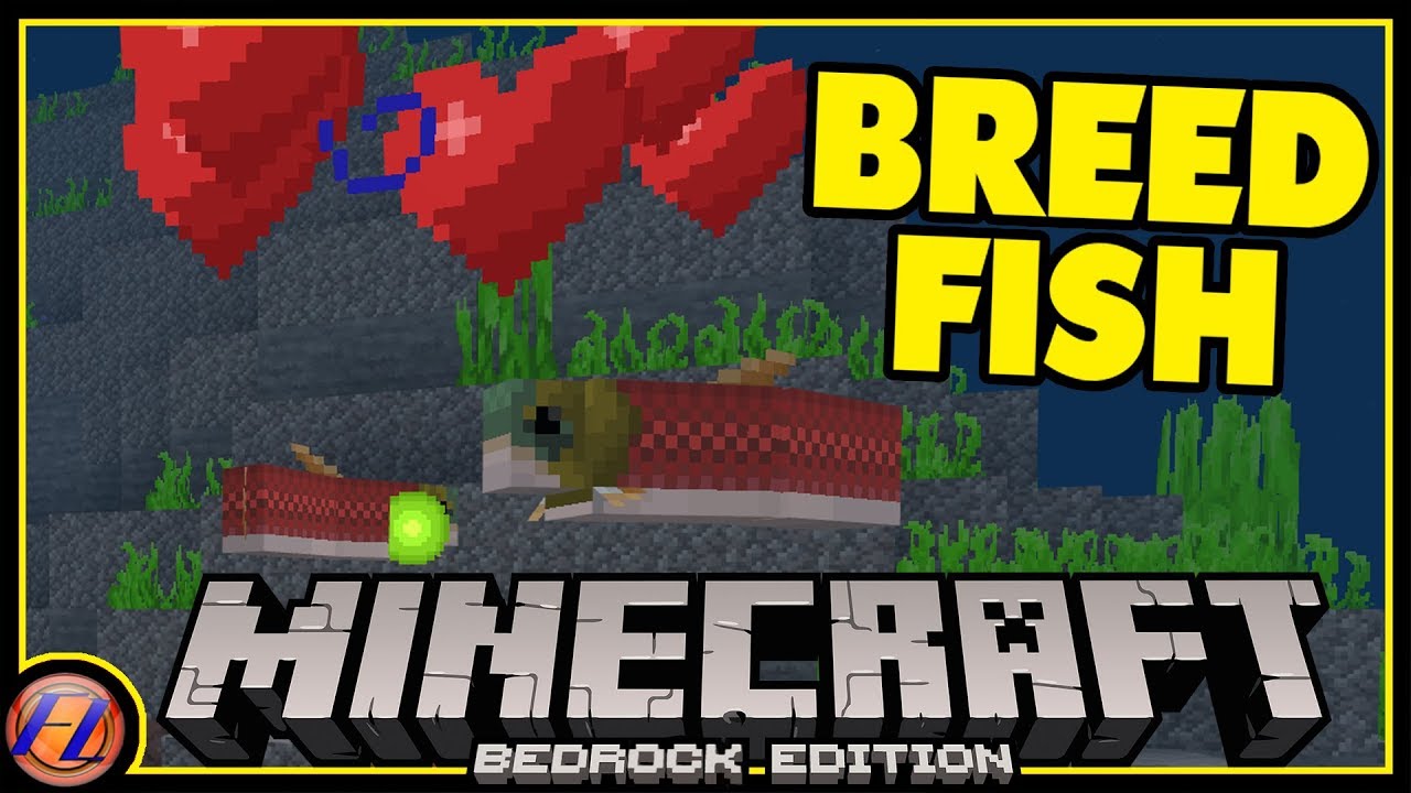 How to Breed Fish and Dolphins in Minecraft Bedrock ...