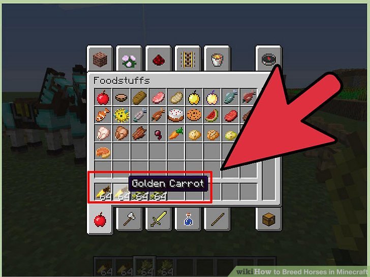 How to Breed Horses in Minecraft: 5 Steps (with Pictures)