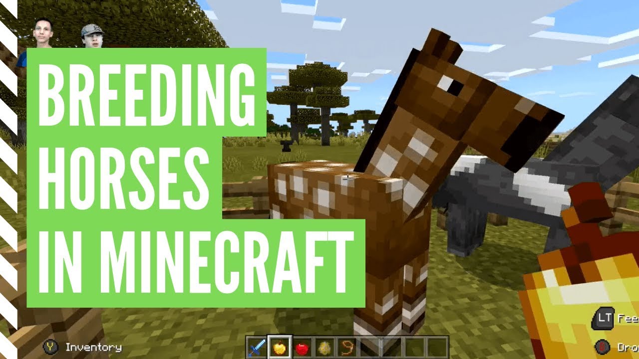 How To BREED HORSES In Minecraft (Step