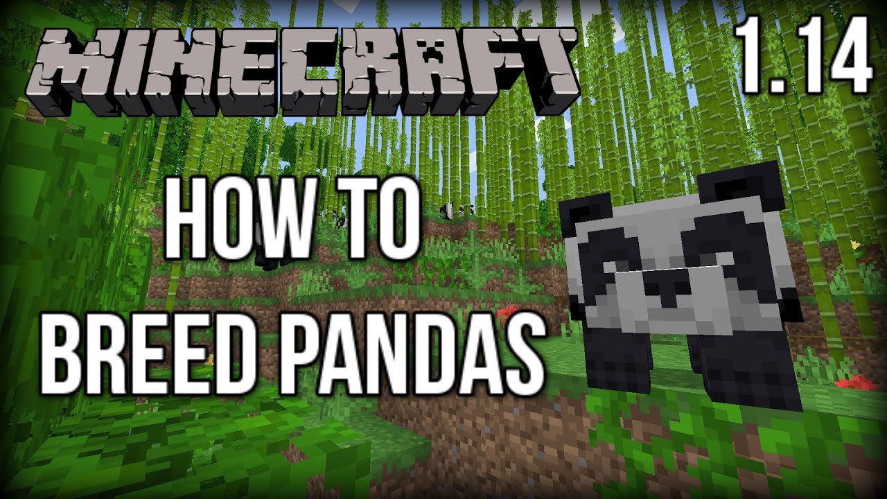 How to BREED Pandas in Minecraft 1.14! (Village and ...