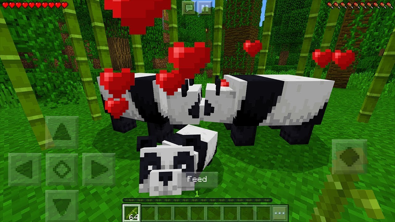 How To Breed Pandas in Minecraft Pocket Edition (1.8 ...