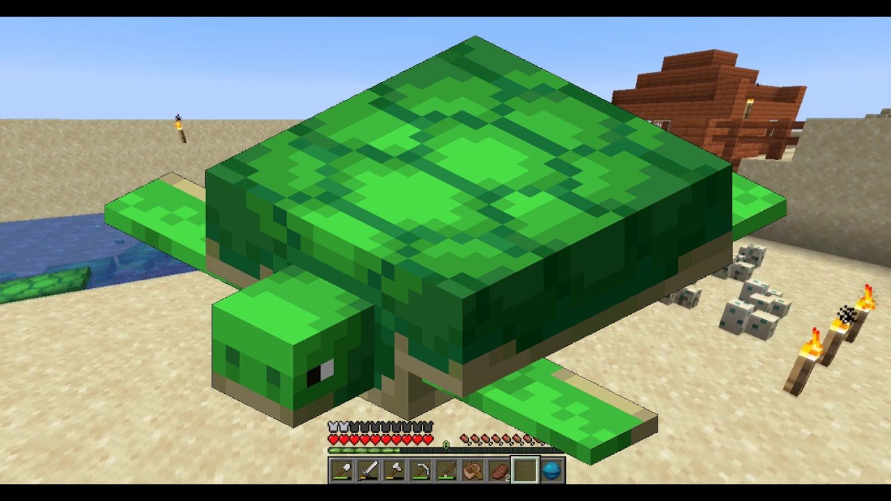 How to Breed Turtles in Minecraft [Easy]