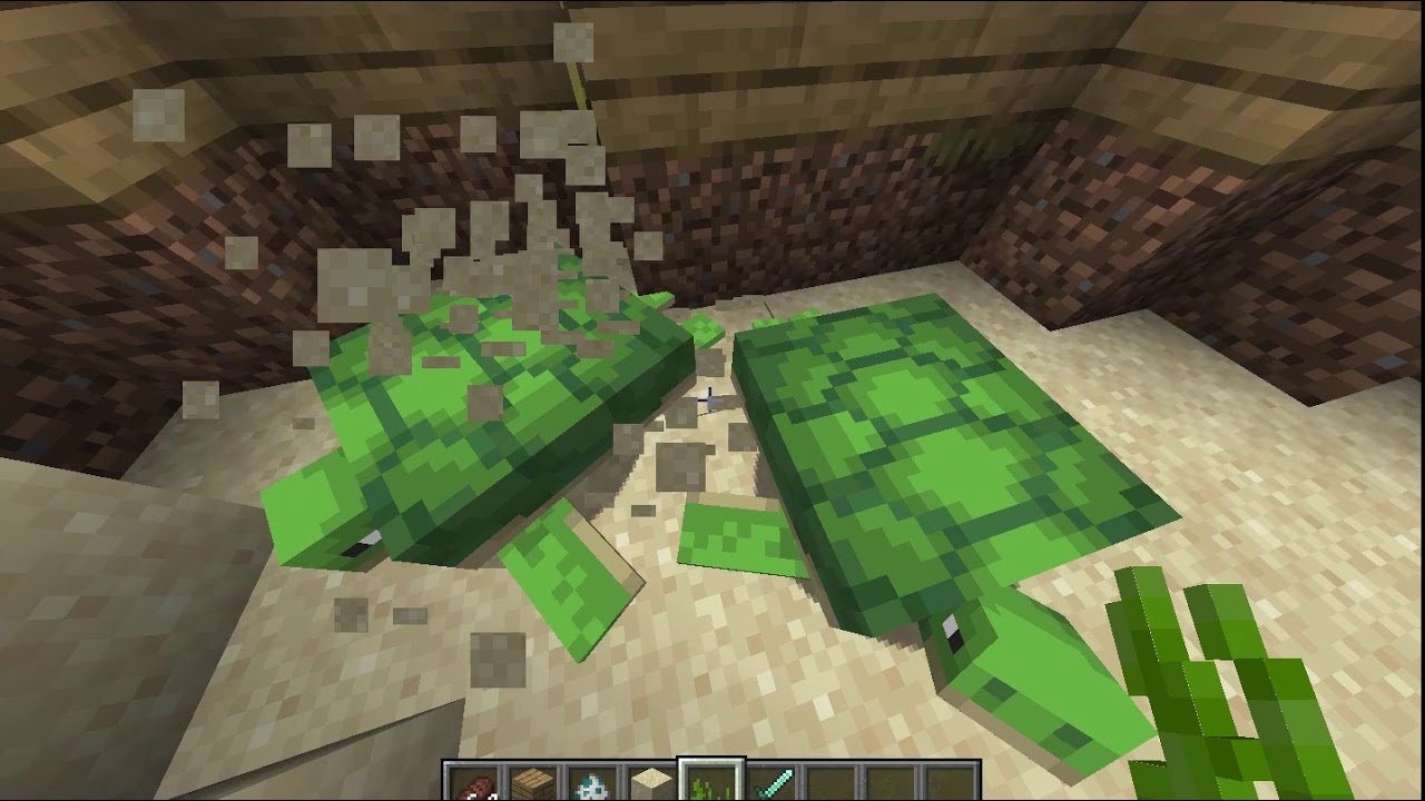 How To Breed Turtles In Minecraft