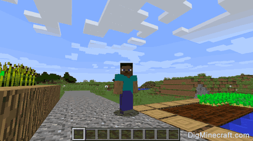 How to Change the Camera View in Minecraft