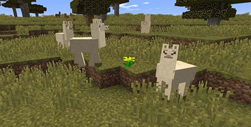 How to Control a Llama in Minecraft