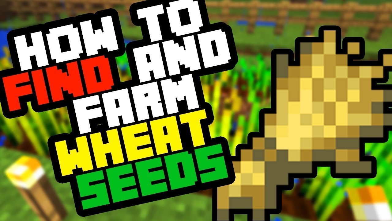 How to Find Wheat Seeds in Minecraft Survival 2019 (And ...