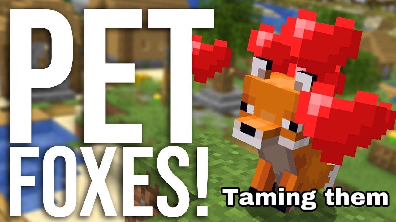 How To Get a Pet Fox in Minecraft ( Minecraft PE and PC ...