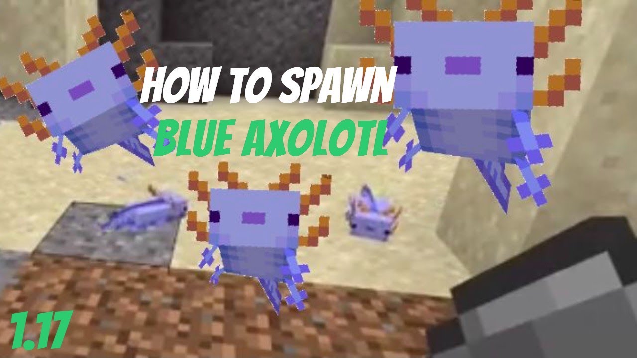 How to get RARE Blue Axolotl Minecraft 1.17 #Shorts