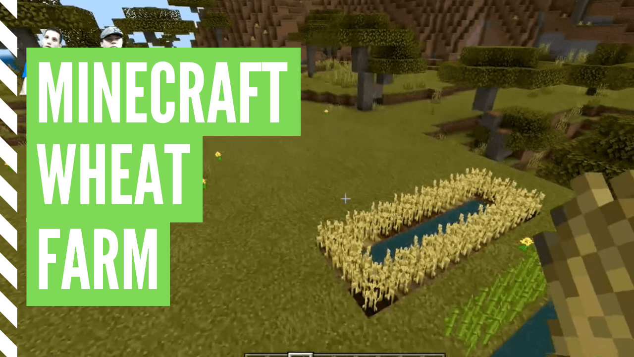How To Get Wheat In Minecraft (Minecraft Wheat Farm)