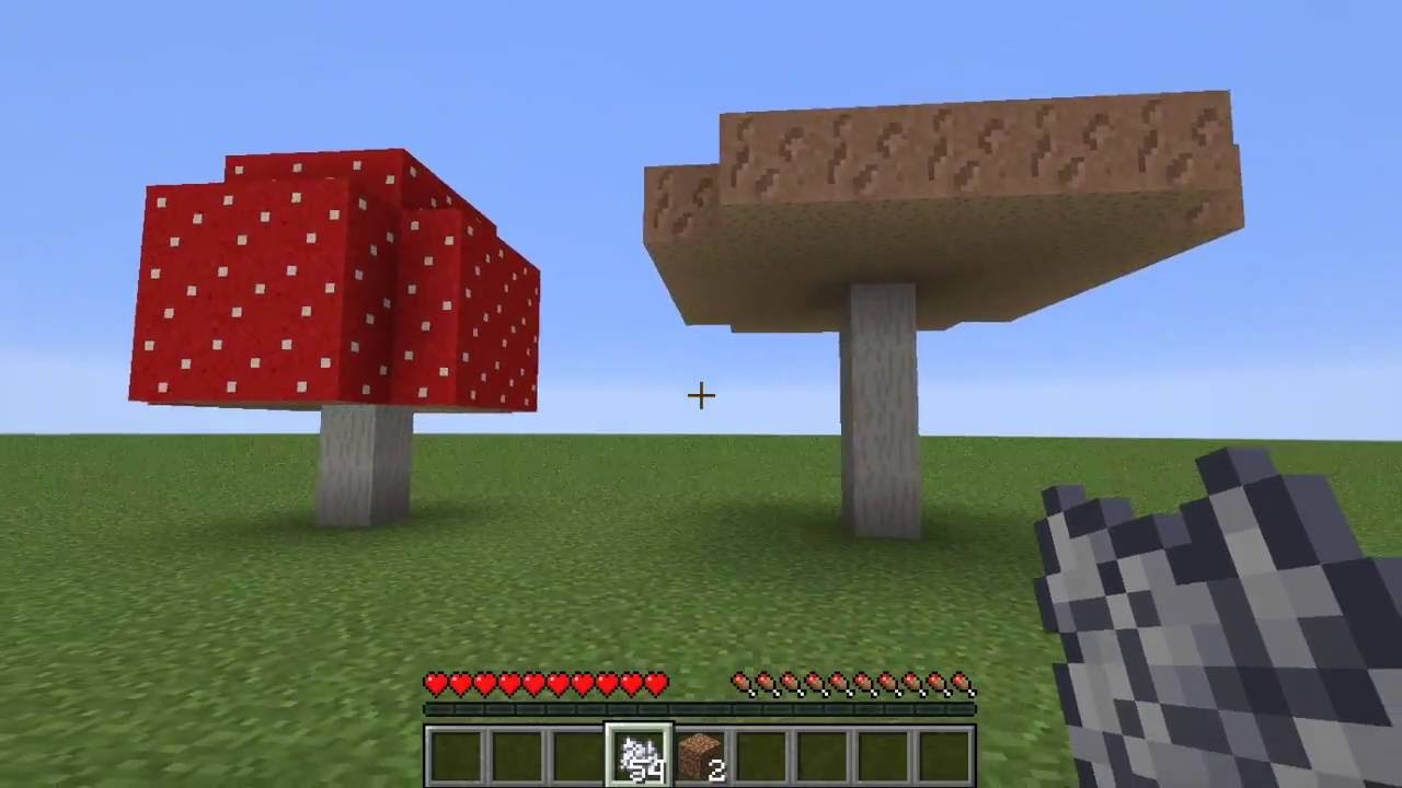 How To Grow Big Mushrooms In Minecraft