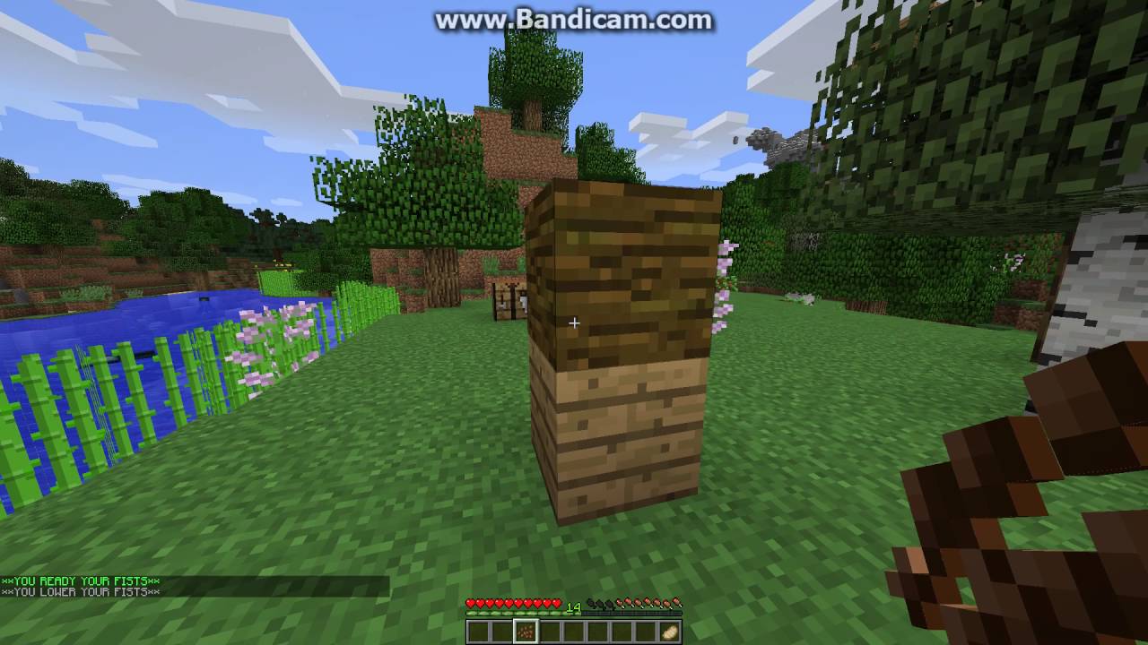 How to grow cocoa beans in minecraft