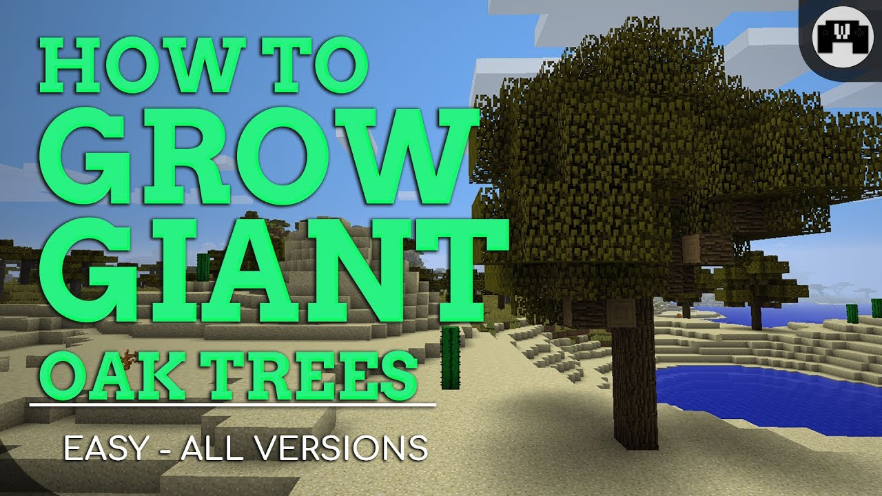 How To Grow GIANT Oak Trees