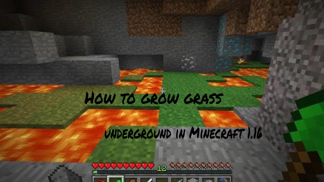How to grow grass underground in Minecraft 1.16!!!