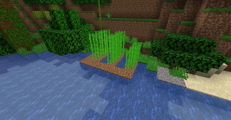 How to grow sugar cane in Minecraft