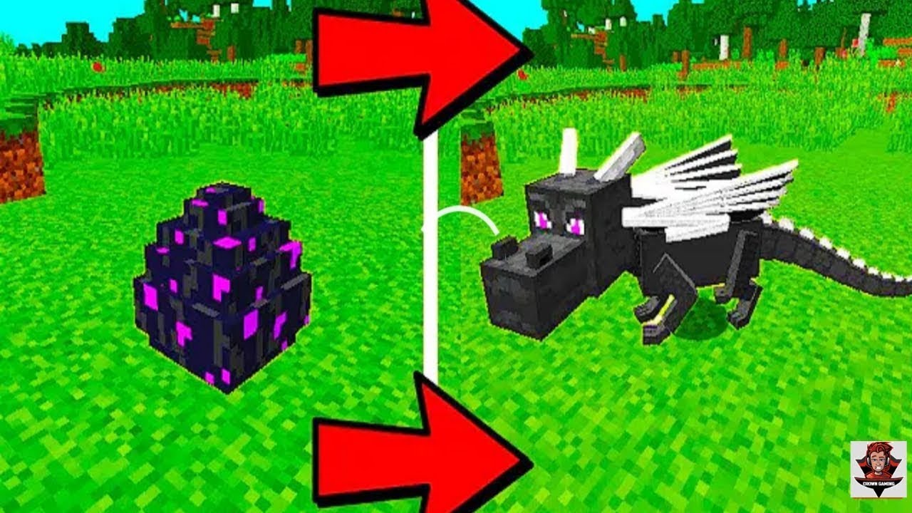 How to hatch dragon egg in Minecraft