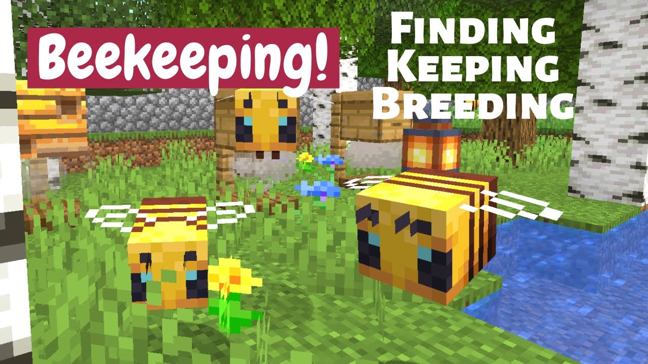 How to Keep Bees in Minecraft