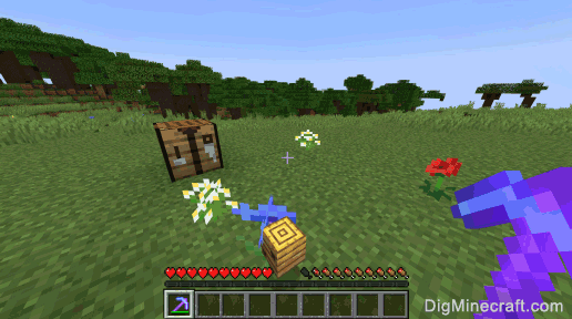 How to make a Bee Nest in Minecraft