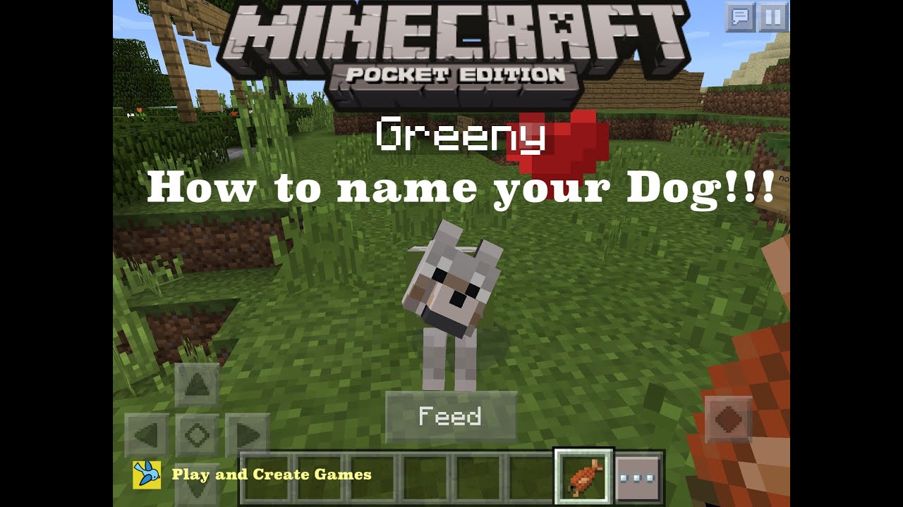 How to Name Your Dog:Minecraft Pocket Edition ï¸?(0.14.0 and older ...