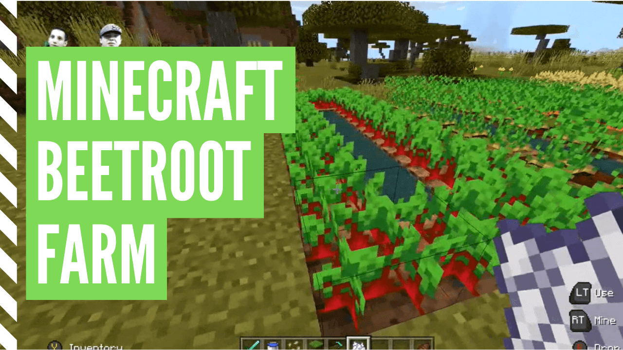 How To Plant Beetroot In Minecraft (Minecraft Beetroot Farm)