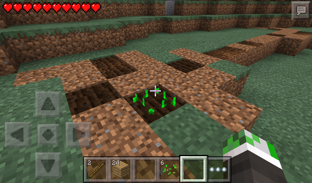 How To Plant Beetroot Seeds In Minecraft