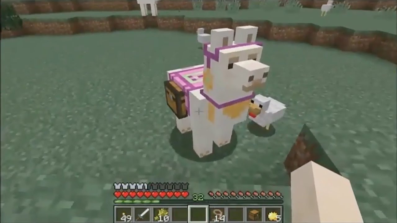 How to put a chest on a llama