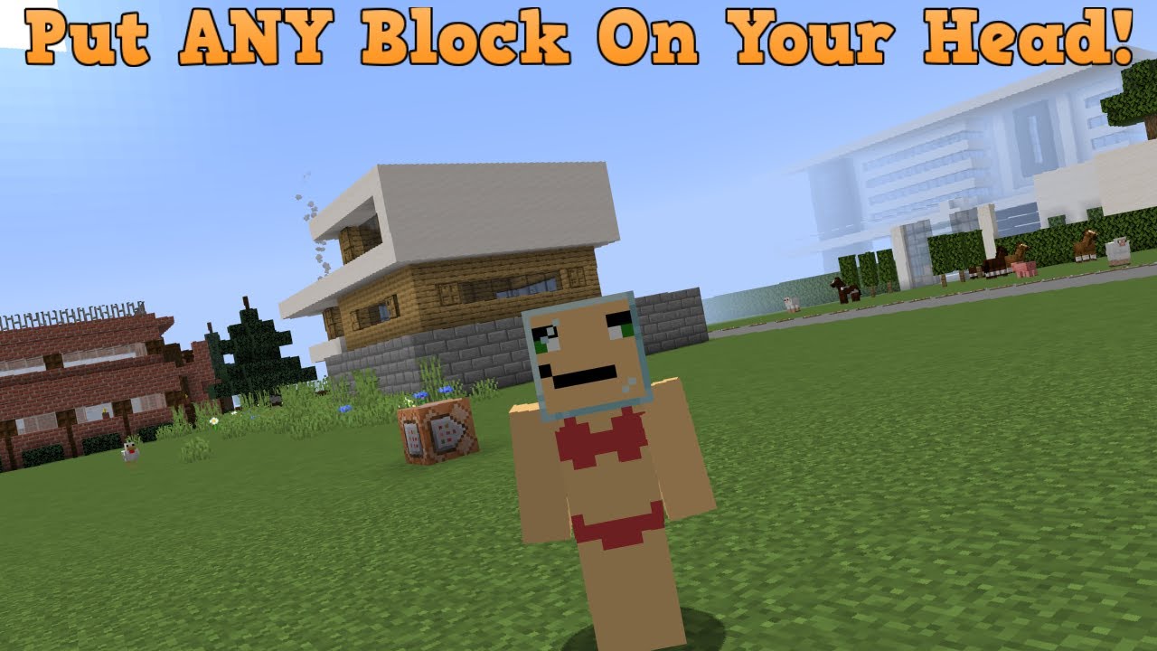 How to put ANY Block on Your Head in Minecraft in 1.16 ...