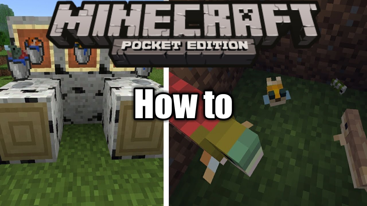 How To Put Fish In A Water Bucket(MCPE)