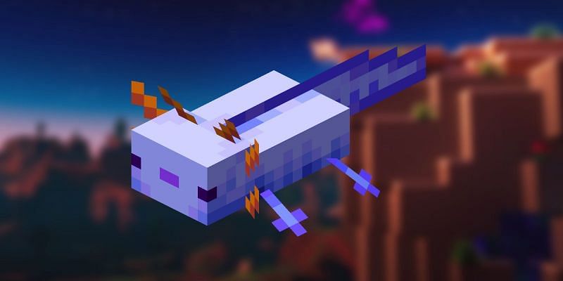 How to Spawn a Blue Axolotl in Minecraft?