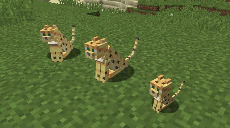 How to Tame a Cat in Minecraft " Procedures"